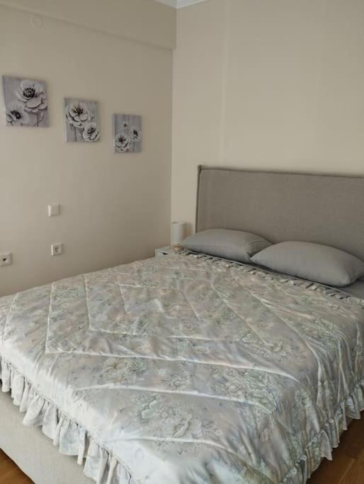 Catherine'S Home Αλεξανδρούπολη Εξωτερικό φωτογραφία